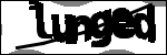 متن برای شناسایی